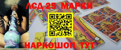 гидропоника Новозыбков
