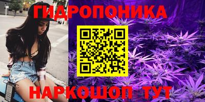 гидропоника Новозыбков